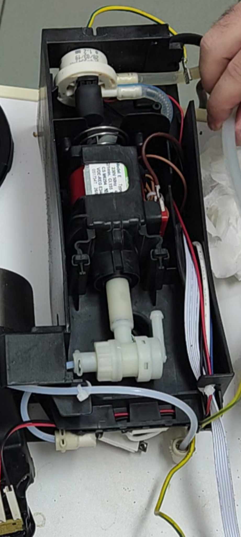 Image #1 from Daniel C.